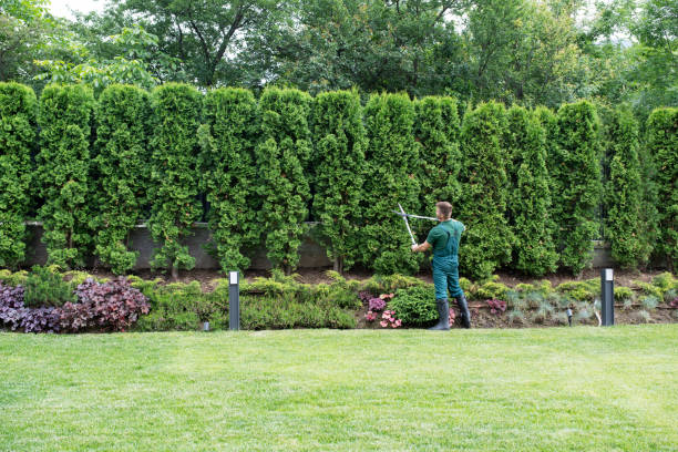 Best Lawn Watering Services  in West Liberty, OH